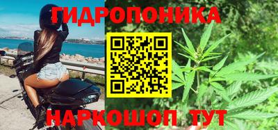 PSILOCYBIN Тула