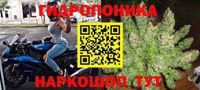 сатива Тулун