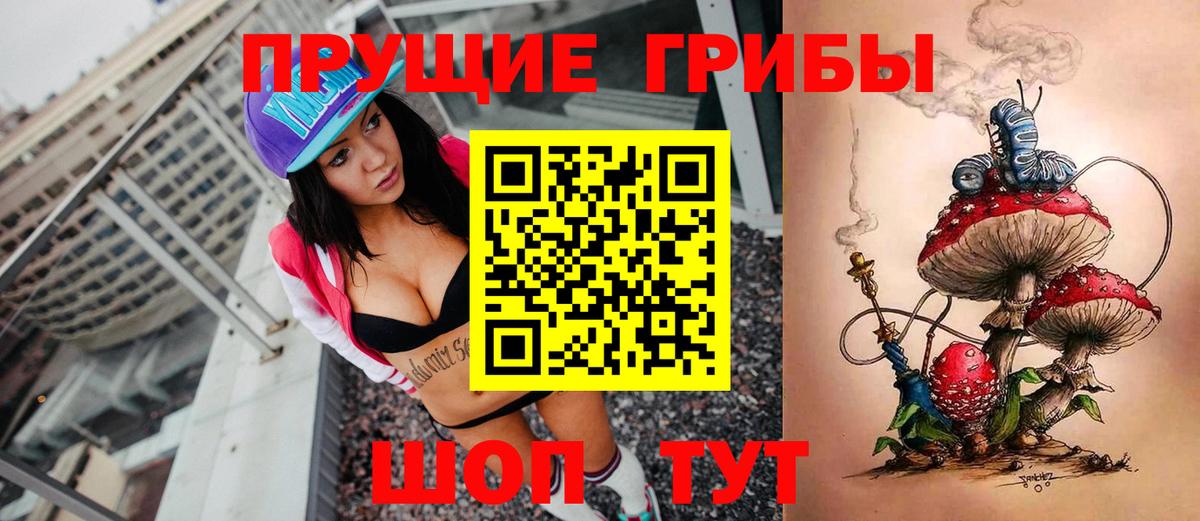 Михайловск  Псилоцибиновые грибы MAGIC MUSHROOMS  Вход с VPN 